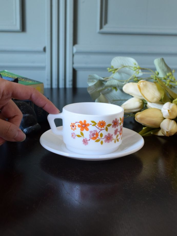 フランス生まれのアルコパル社おしゃれな食器、スカニアシリーズの