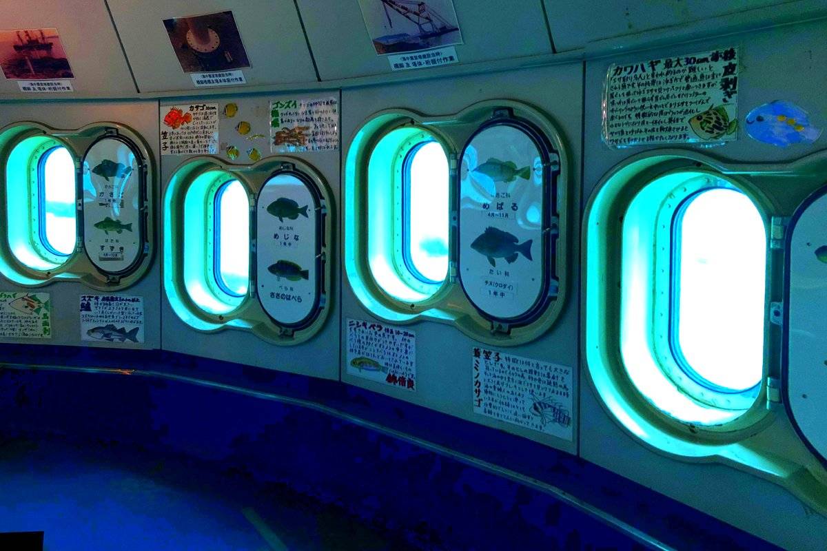 玄海海中展望塔 – 佐賀県唐津市|恋人の聖地波戸岬|海の中の水族館