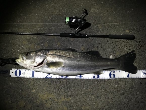 18ディアルーナS90MLのインプレ！ワインド、エギングも出来る万能