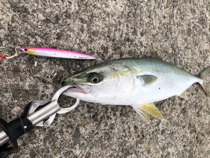 ジガロマッシブのインプレと最適なフック！飛距離抜群のメタルジグで