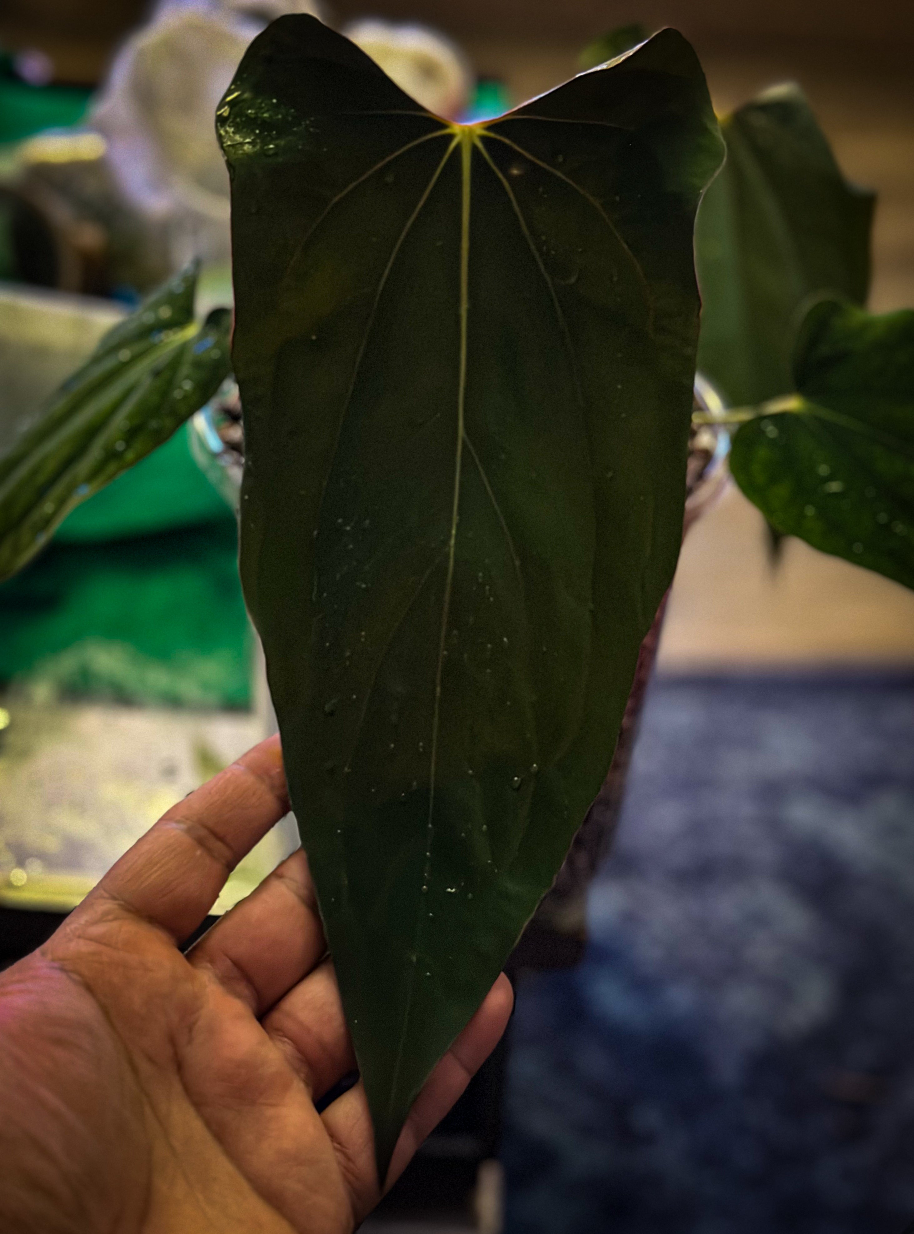 D0D89BDC-22BE-49C2-B318-