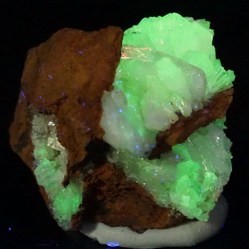 91314-8_800x.jpg?v=1675925415