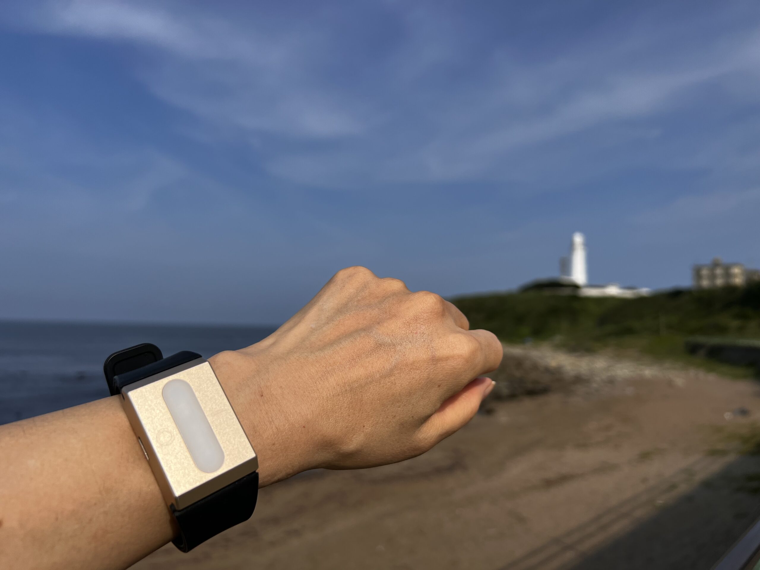 量子波動器オールワン ALLONE275UFO | Harmony