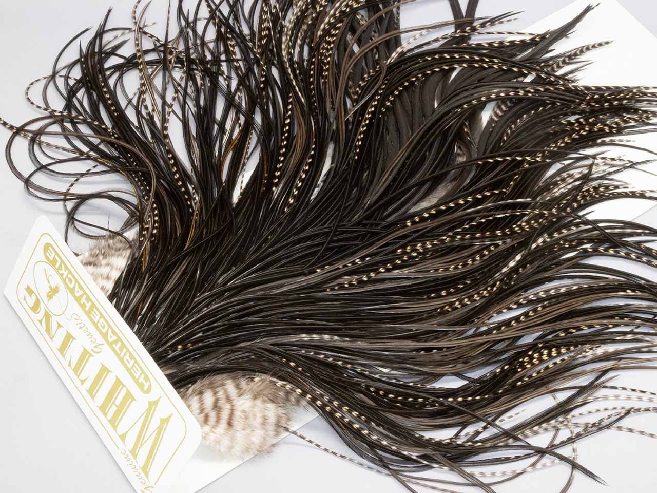 WHITING Silver ハックルケープ Golden Badger WHITING Silver