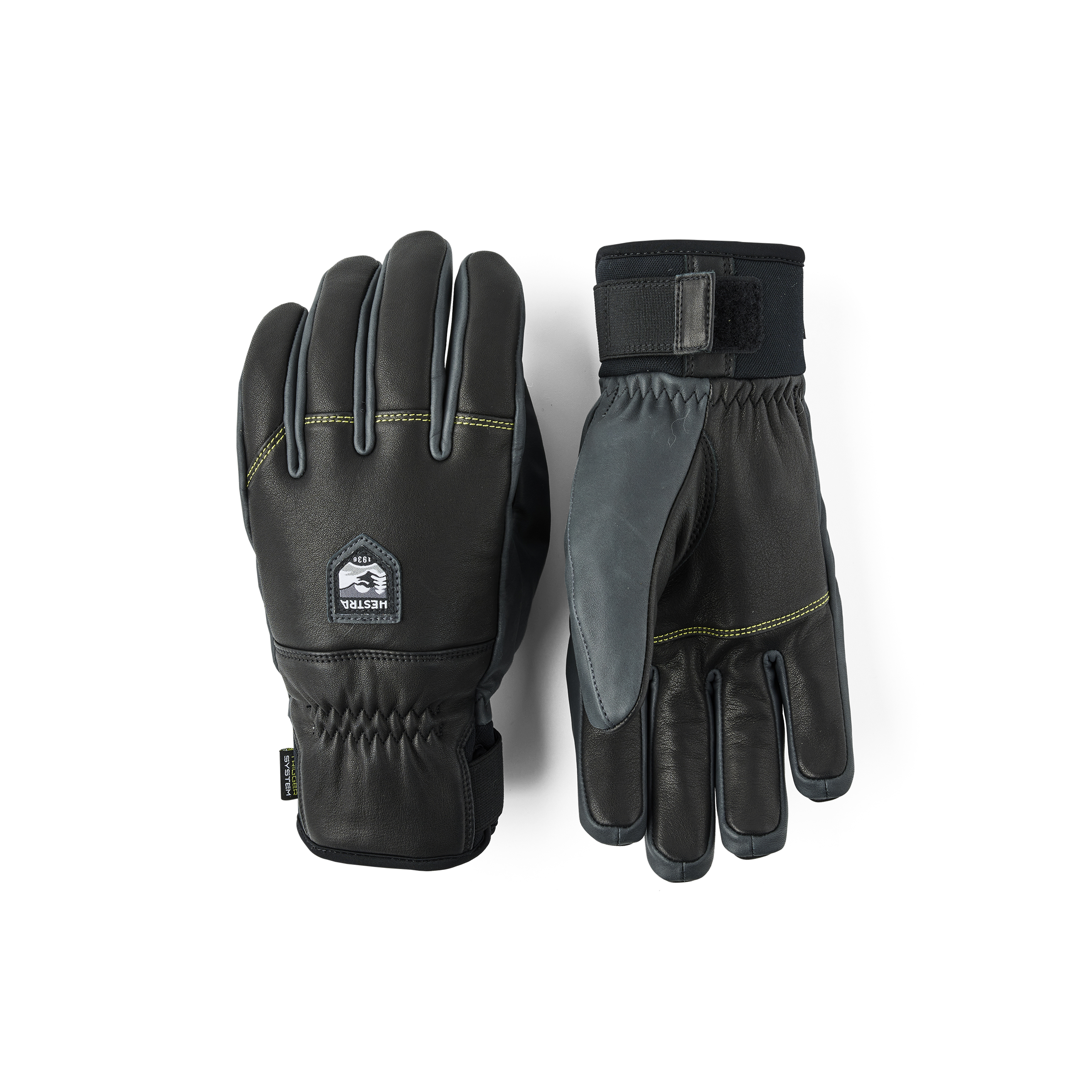 Alpine Pro | Hestra Gloves