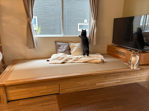 飛騨フォレスト 畳ベッド セミダブル 小上がり 東京より直接お渡し