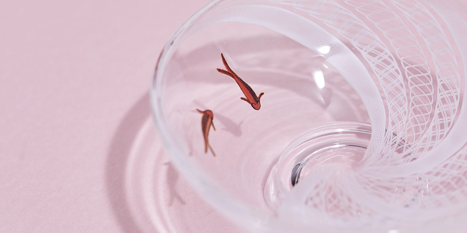 富山の「日の出ガラス工芸社」津坂陽介さんと久保裕子さんの作品｜ひと