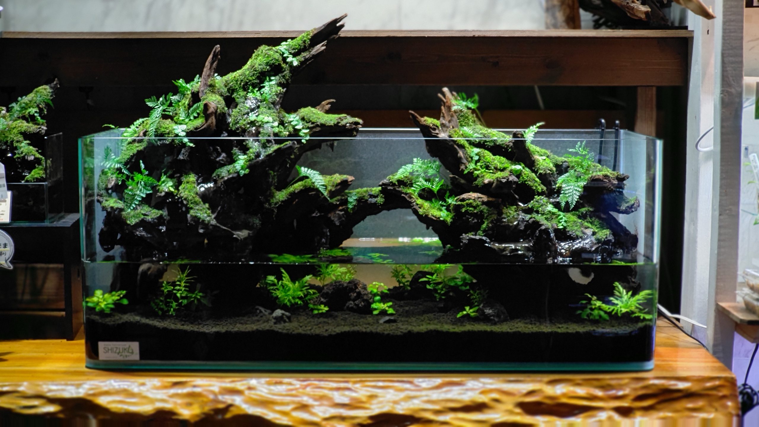 アクアテラリウム オーダーメイド｜ヒロセアクアワークス【公式