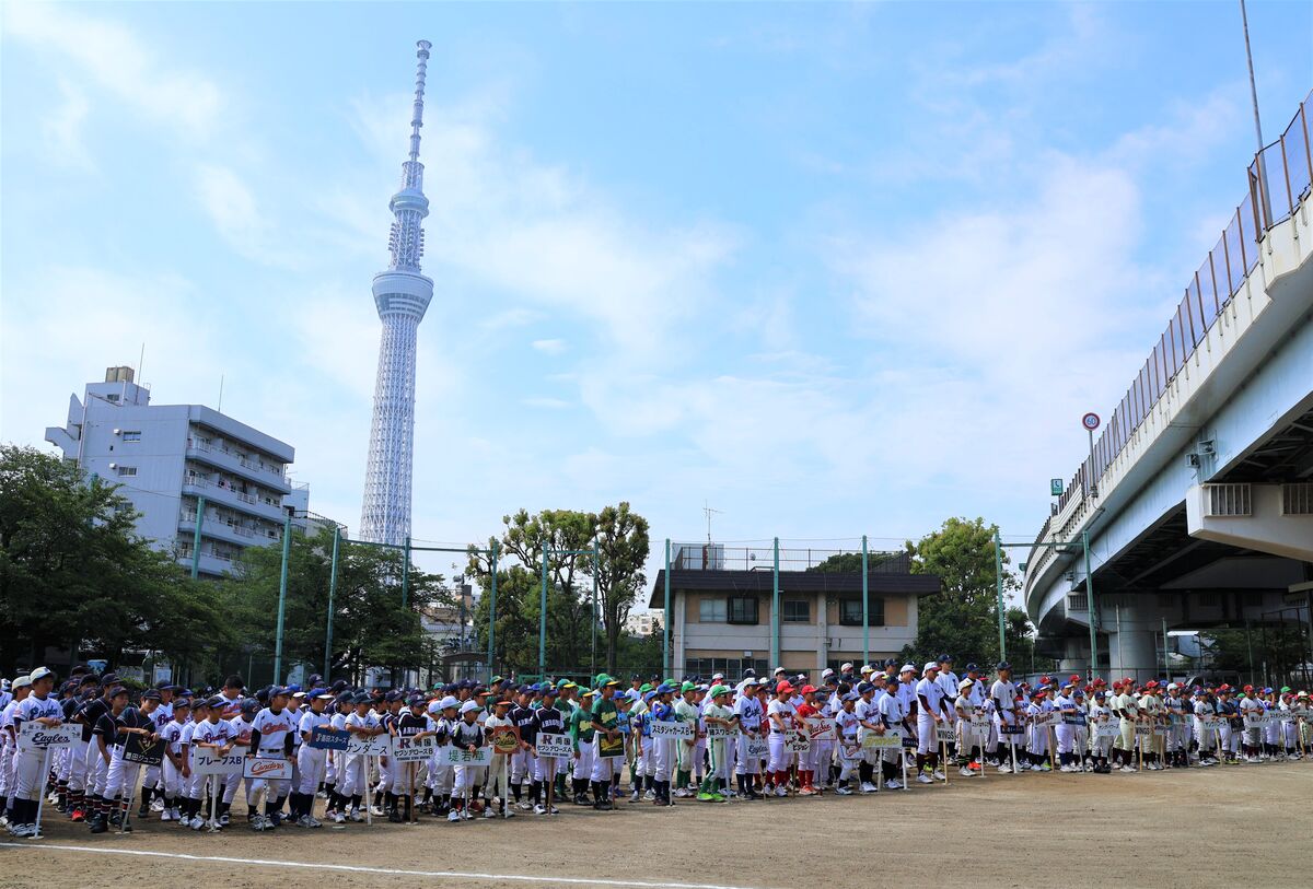 王選手が育った日本最初の少年野球場】隅田公園少年野球場の石10個セット