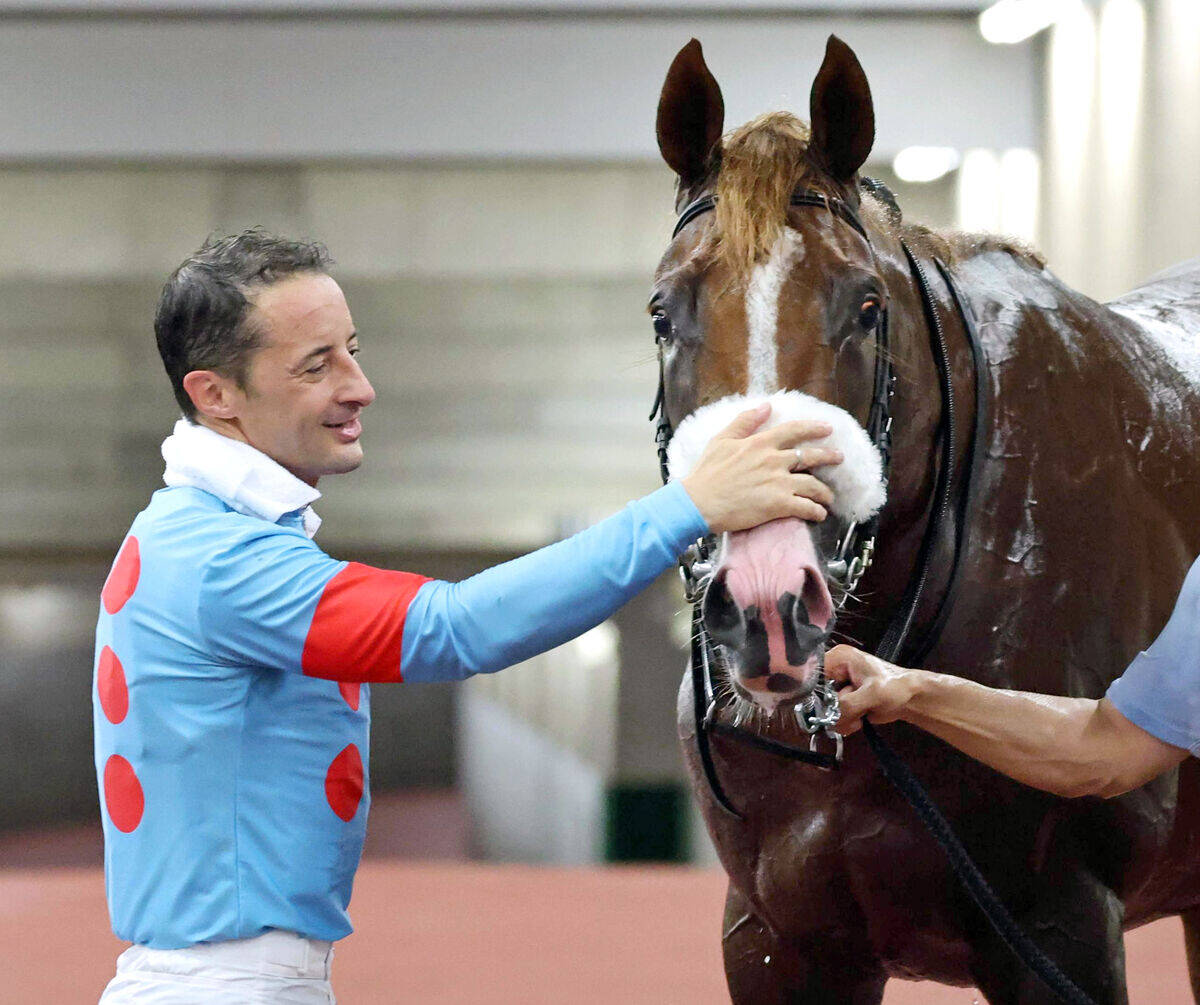 注目馬動向】アーモンドアイの初子アロンズロッドが2月の箱根特別を