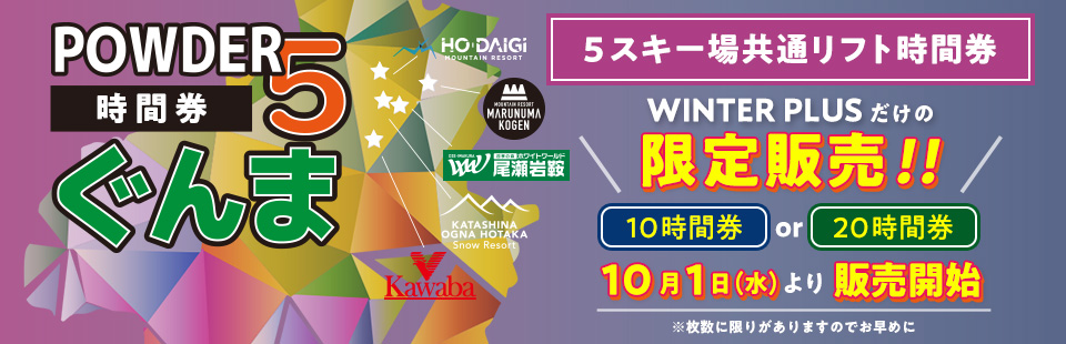 ぐんまPOWDER5 時間券 残り10時間 POWDER5ぐんま 10時間券 残り9時間