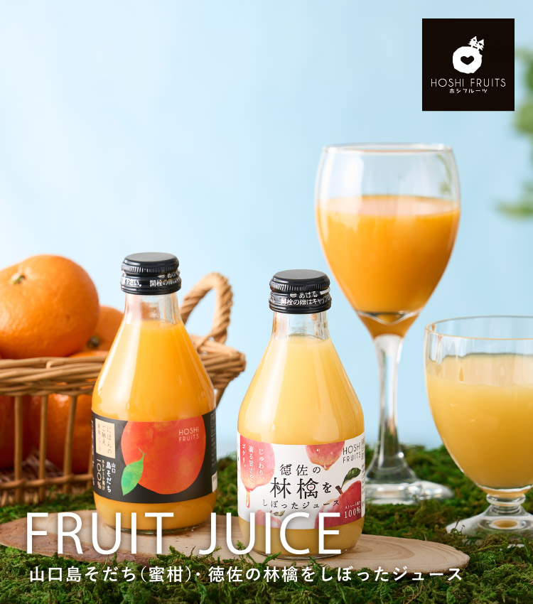 山口島そだち・徳佐林檎 8本《HFY-02C》｜公式ホシフルーツ通販