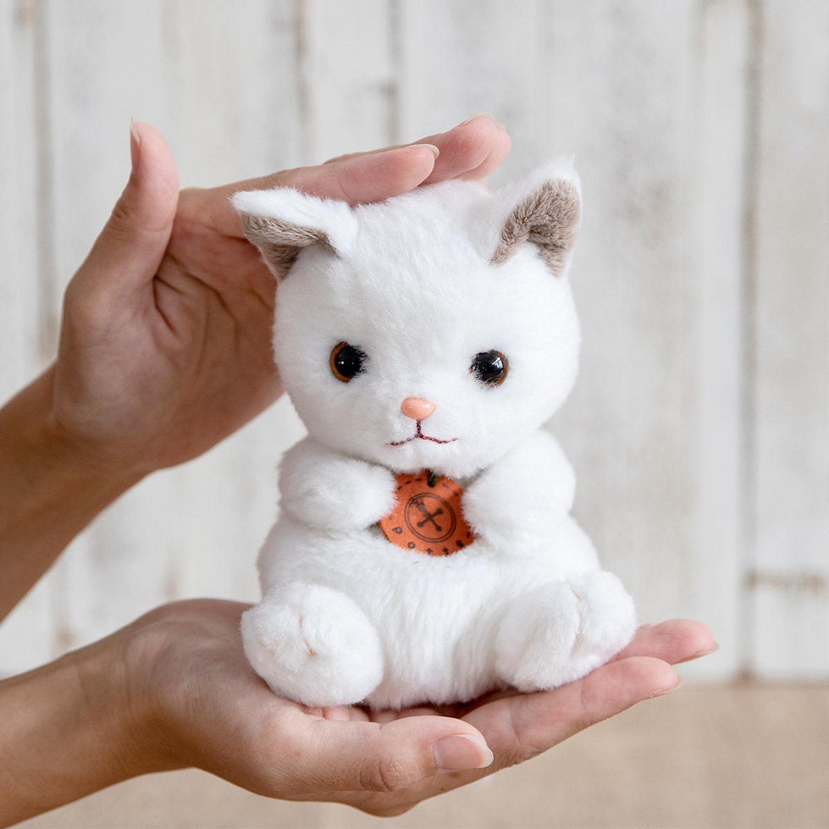 ぬいぐるみ potte 白猫 猫 – ハウジー