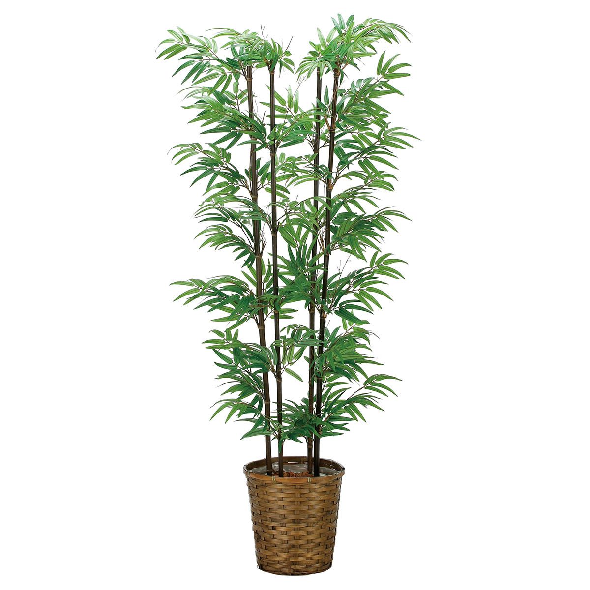 黒竹1.6（幹:天然黒竹）2315A300｜アートクリエイションのフェイクグリーン