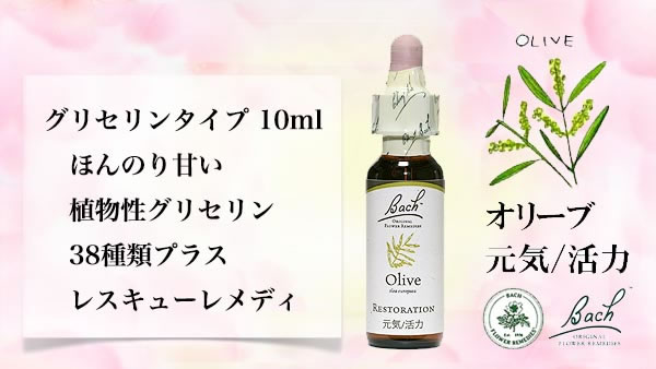 バッチフラワーレメディ専門店i-bach.com お花のエッセンスで心を癒す