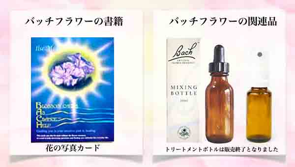 バッチフラワーレメディ専門店i-bach.com お花のエッセンスで心を癒す