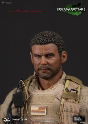 Perfect Damtoys 78008 1/6 Navy Seal Sdv Team 1 Operation Red Wings