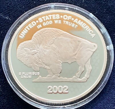 Liberty Indian Head Buffalo 2002 Silver 1 troy oz .999 Fine Silver