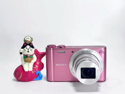 Sony Cyber-shot DSC-WX350 Pink 18.2MP 20x Compact Camera-90%new | eBay