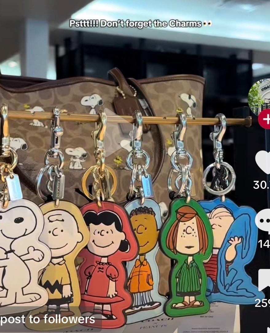 NWT Coach x Peanuts Bag Charm Keychain Snoopy/Charlie/Lucy/Patty