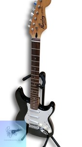 Barclay Guitar | eBay