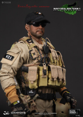 Perfect Damtoys 78008 1/6 Navy Seal Sdv Team 1 Operation Red Wings