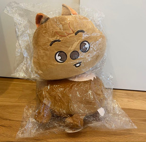 Skzoo Cushion | eBay