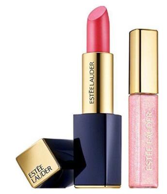 Estee Lauder Pure Color Envy Duo: Lipstick 220 Powerful, Gloss 49