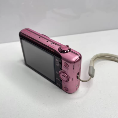 SONY Cyber-shot DSC-WX200 18.2 MP 10x Optical Zoom Digital Camera