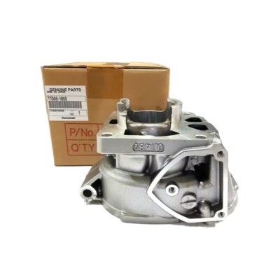 Genuine For Kawasaki Kr150 KRR ZX150 Cylinder Block P/N: 11005