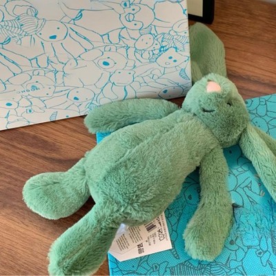 Jellycat Bashful Ivy Bunny 18cm Green Plush | Soft Bunny Rabbit