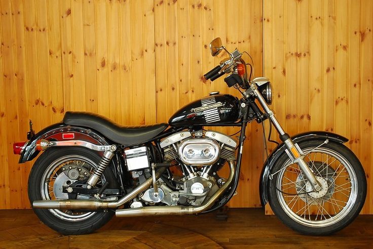 雨の日は・・・ゴキタン!?の画像