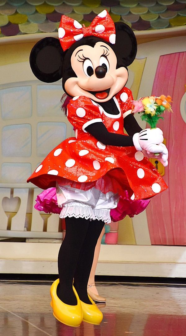 TDL【ワンマンズ✴︎ドットミニー】ニューフェイス編』