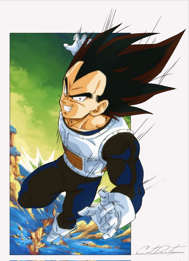 江戸屋 ドラゴンボール ベジータ 原画 DragonBall BEGETA 江戸屋