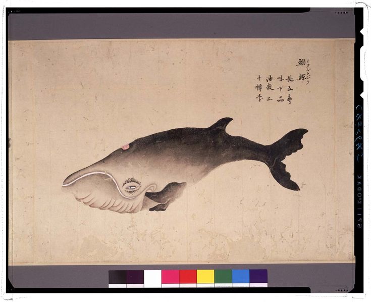 鯨歯 置物 大谷在銘 鯨の絵描き 鯨歯 置物 大谷在銘 鯨の絵描き