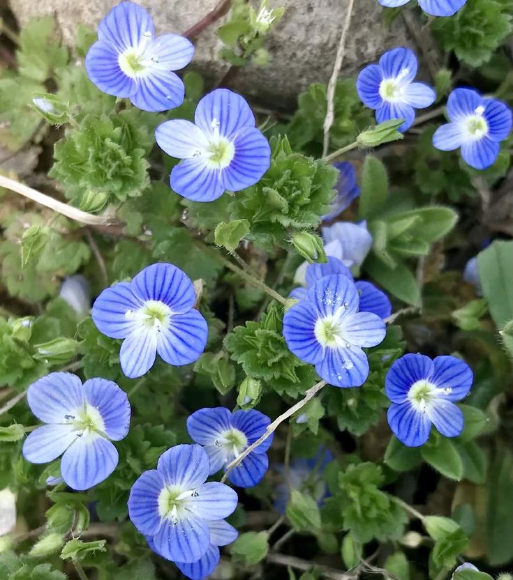 f943f8a5e9cd4fec58ea847bc1eba6