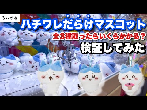 Let's check it out!] How much would it cost to get all three of