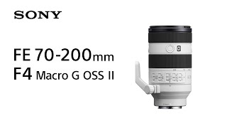 FE 70-200mm F4 Macro G OSS II Debut マクロ性能を新たに備えた第2