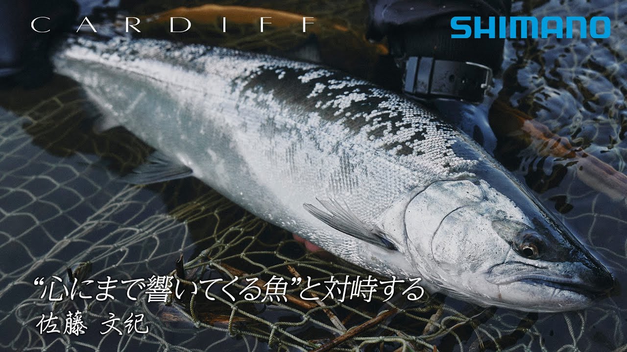 釣*き様 シマノ 秘宝 樹海 十三 ☆ 岩魚、ヤマメ、アマゴ、虹鱒に最適