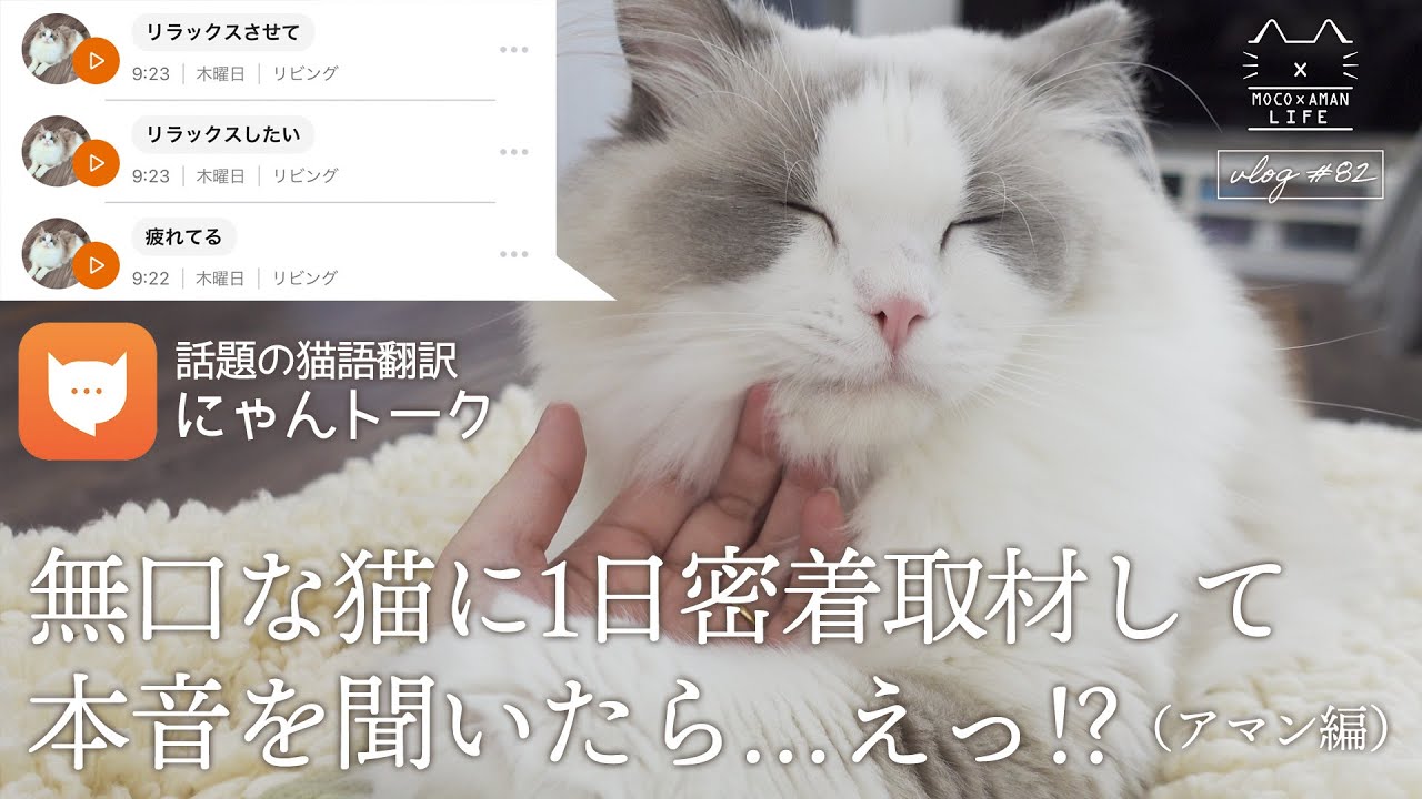空猫✪プロフ必読・無言取引NGです✪ ページ 空猫✪プロフ必読・無言