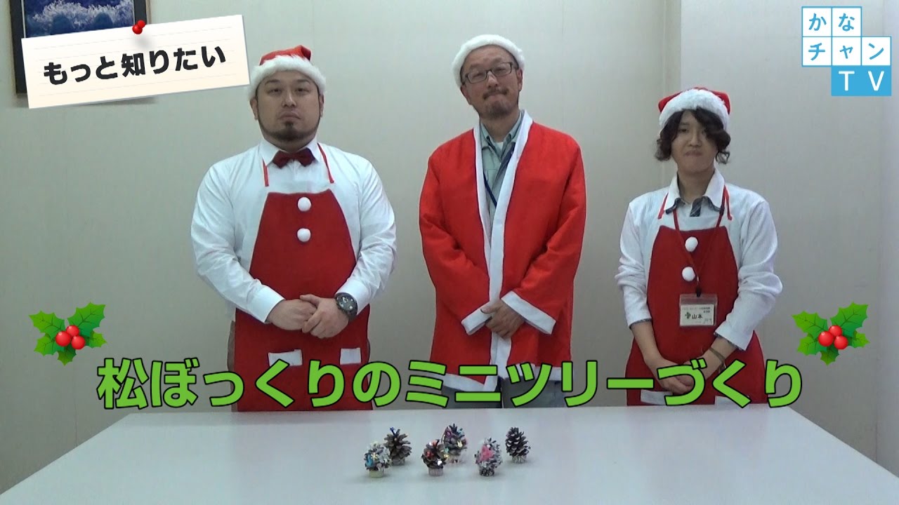 松ぼっくりのミニツリーづくり「もっと知りたい」2016/11/29 - YouTube