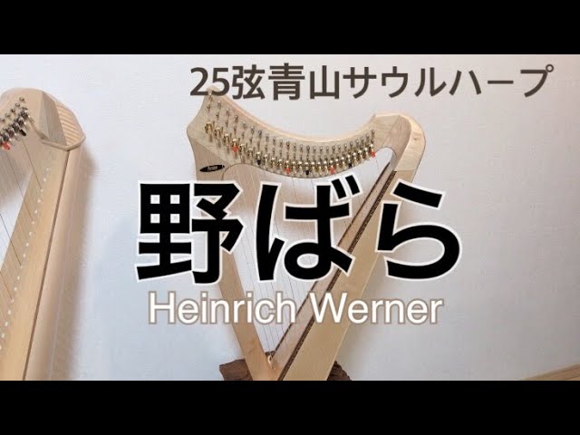 25弦青山サウルハープ演奏】野ばら - YouTube
