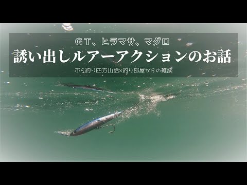 ヒラマサGTマグロ ルアーセット 早い者勝ち Talk about lure action