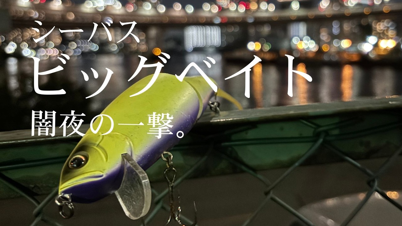 Day game sea bass with big bait! - YouTube