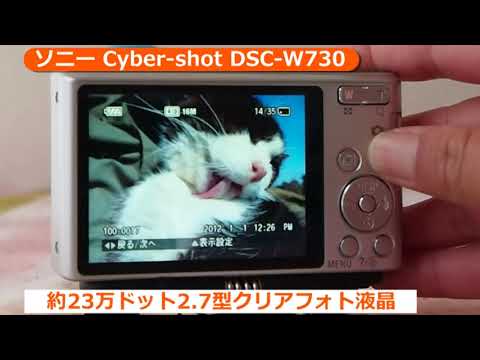 ソニー Cyber-shot DSC-W730 S シルバー | コンパクトデジタルカメラ