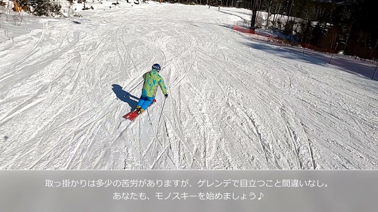 Freeride Monoski ISLAND JOY Ambassador - YouTube