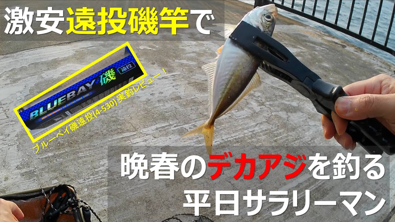 ブルーベイ磯遠投4-530実釣レビュー：投げサビキ用のタックル、ロッド
