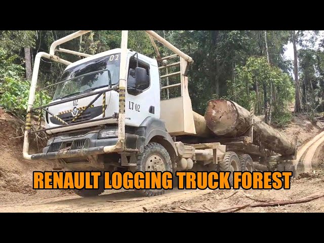 CIJ ルノー RENAULT 材木運搬トラック スケール不明 CIJ ルノー