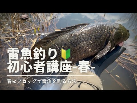 Snakehead Fishing] If you look, you can catch it! Spring snakehead