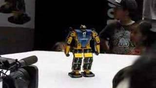 Hitec Robonova 1 Robots - The Old Robot's Web Site